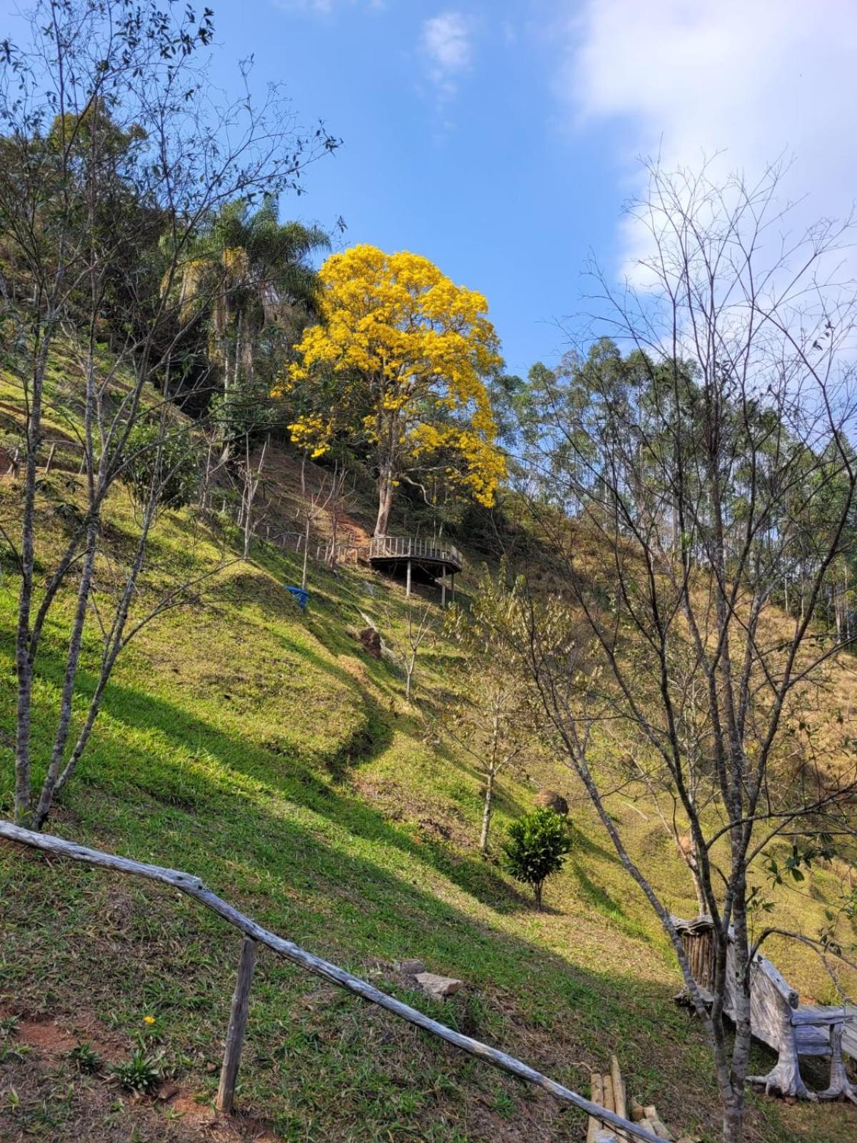 Pousada Recanto Do Ype Aiuruoca Esterno foto